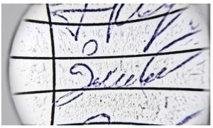 Adli Tıp imza incelemesi itiraz, senet, çek, sahte imza,